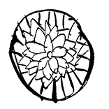 9 9