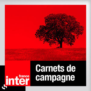 Territoires pionniers sur France Inter
